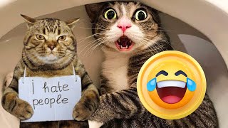 Funniest Cats 🐱 | Funny Cat Cats 🐱 Funny Pets Videos #25