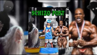 Download Lagu ANABOLIC SCHIZO POST - FIGHT CLUB by 𝔐oon 𝔇eity (bablian edit) MP3