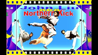 John Liu AKA Northern Kick#martialartsmovies #kungfumovies #kingofkungfu #brucelee #kungfucinema