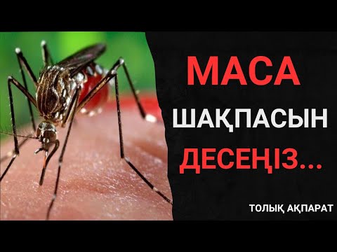 Extasy порно журналдары Ол жынданып барады