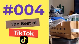 The Best of TikTok compilation, kompilacja filmów z TikToka 004