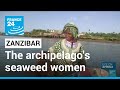 The seaweed women of Zanzibar: Archipelago