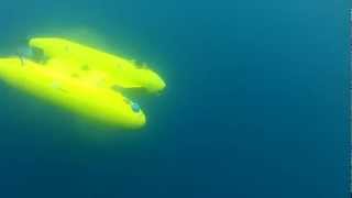 Autonomous Underwater Vehicles Auv Alister 18 Twin