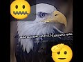 خل يحجون بيه خل يحجون بيه