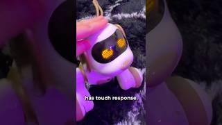 $60 SMART ROBOT DOG!? (Ruko Review)