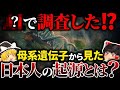 【✕✕で調査!?】母系遺伝子ミトコンドリアDNAから見た私たち日本人の起源とは?【ゆっくり解説】