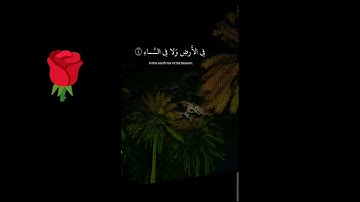 إِنَّ اللَّهَ لَا يَخْفَىٰ عَلَيْهِ شَيْءٌ فِي الْأَرْضِ وَلَا فِي السَّمَاء - سورة آل عمران 