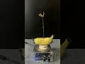 TESLA COIL VS BANANA AND PLANTS
