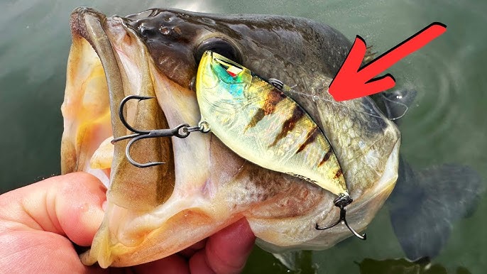 Underwater Spinnerbait Footage! Spring Spinnerbait Tricks For