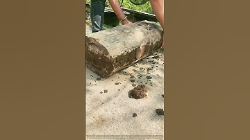 Beehive Magic: Watch Ancient Beekeeping Tricks Still Work Today!