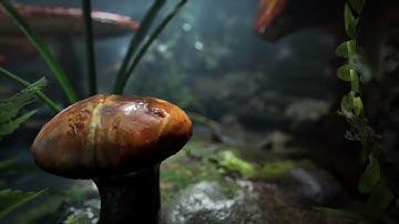 CGI short film with Unreal Engine: rain & thunder