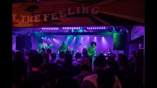 Dogs In A Pile - 4/13/24 - Moe's Alley - Santa Cruz, CA - Full Show