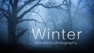 Winter Woodland Photography