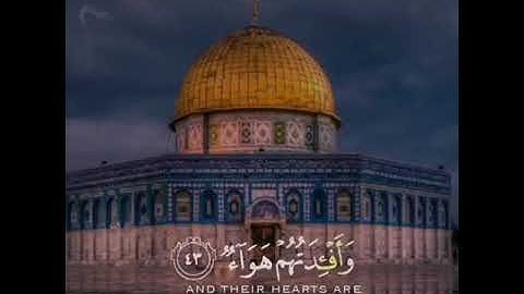 ولا تحسبن الله غافلاً عما يعمل الظالمون.  القارئ عبد الرحمن مسعد