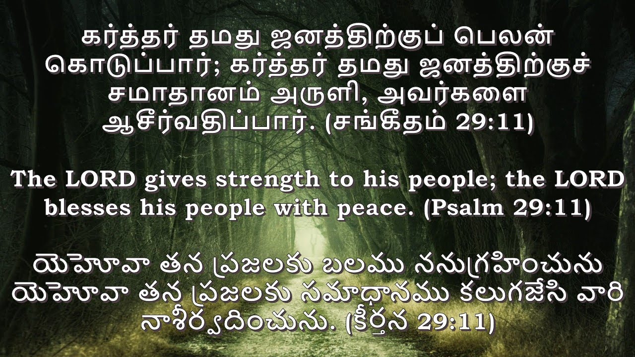 8-7-2021|Word of Life|Daily Bible verse in Tamil|English|Telugu ...