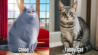 The Secret Life Of Pets Character Vs Real-Life Animal Fun Cartoon Adventure For Kids Learning