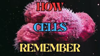 HOW CELLS REMEMBER