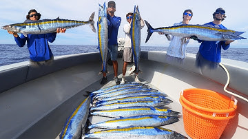 HIGHSPEED TROLLING for WAHOOS… INSANE!!!!