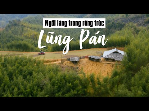 Ngỡ ngàng ngôi làng sống trong rừng trúc Lũng Pán, Bảo Lạc, Cao Bằng - Bamboo Forest Vietnam Travel