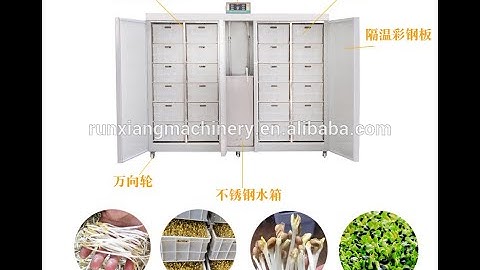Mung bean sprouting machine