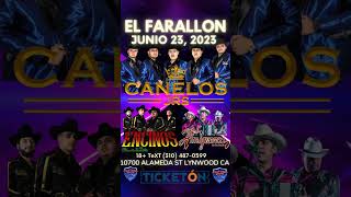 CanelosJR Encinos De Sinaloa Los Amigueros En El FARALLON Junio23