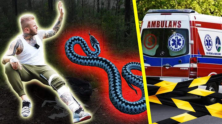 UKĄSZENIE NAJGROŹNIEJSZEGO POLSKIEGO WĘŻA!!!