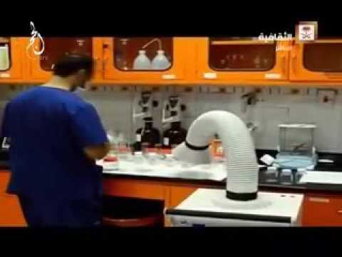 صحة البيئة بأمانة العاصمة المقدسة تكثف من رقابتها الميدانية على المنشآت الغذائية خلال موسم الحج