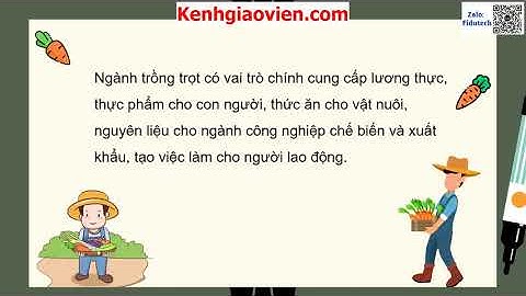 Giáo án powerpoint bài 1: Nghề trồng trọt ở Việt Nam | GA điện tử Công nghệ 7 chân trời sáng tạo