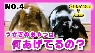 【おやつ編】我が家であげているうさぎのおやつを紹介しますNo.4