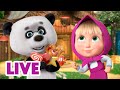 🔴 EN VIVO Masha y el Oso Castellano 💃 Masha y el Panda 🐼 Masha and the Bear LIVE