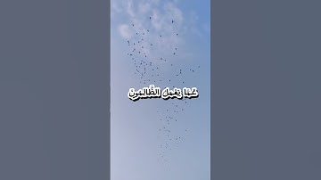 وَلَا تَحْسَبَنَّ اللَّهَ غَافِلًا عَمَّا يَعْمَلُ الظَّالِمُونَ ۚ (سورة إبراهيم، الآية 42)