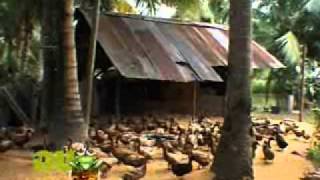 กบนอกกะลา ตอนไข่เค็มไชยา