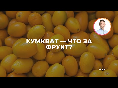 Video: Ашкабак боткосун жасоонун 3 жолу (пюре)