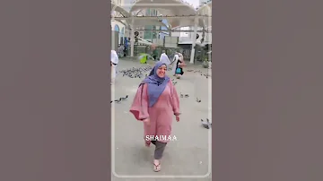 علي باب المدينه علي باب النبي شيماء 