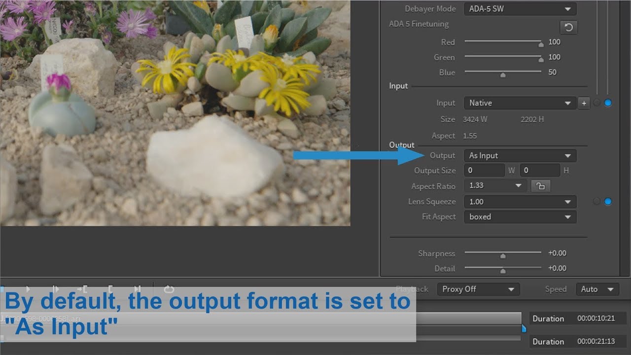 ARRI Tech Tip: ARRIRAW Converter - How to create an unscaled image