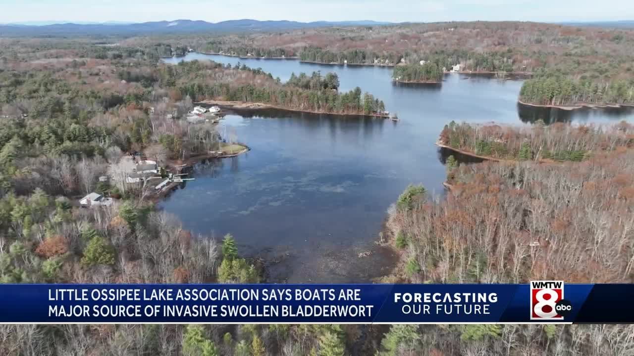 Lake Association takes steps to protect Little Ossipee Lake in Waterboro