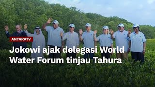 Jokowi ajak delegasi World Water Forum tinjau Tahura