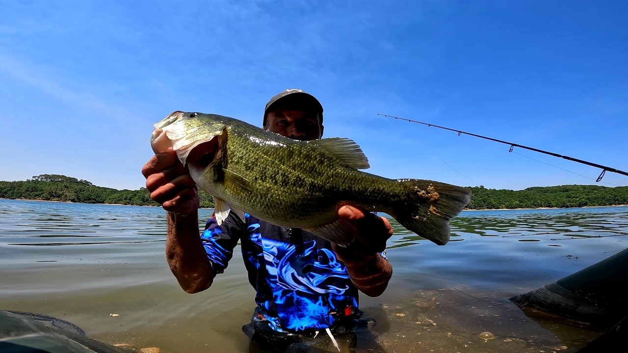 July 2026 Black Bass fishing trip