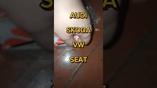 Coding Активация VCDS #ауди #фольцваген #шкода #сеат #audi #vw #sckoda #scodaoctavia #seat #кодинг