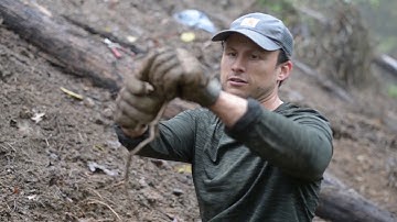 How to Get Rid of Kudzu - tips from expert volunteers