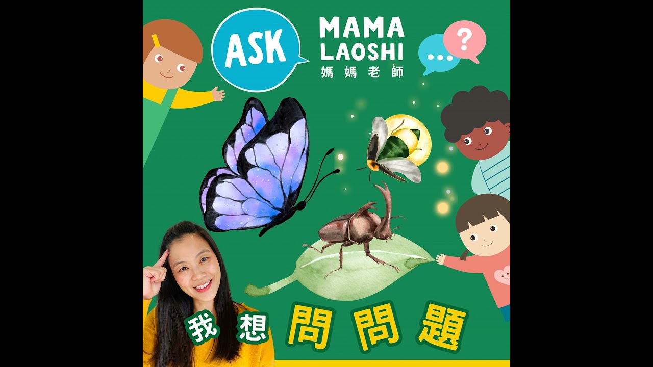 神奇的昆蟲🪲🦋—蝴蝶有骨頭嗎?💡Incredible Insects🪲🦋— Do butterflies have bones?💡(重新上架) 縮圖