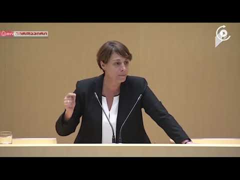 ფეხქვეშ გათელილი კონსტიტუცია   ევროპულმა საქართველომ პარლამენტში ბანერი გადმოფინა