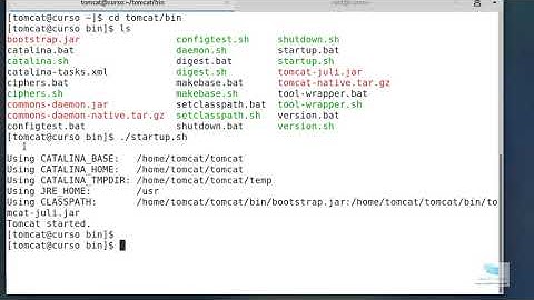 Curso Tomcat 11: Arrancar tomcat