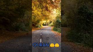 Surah Munafiqun urdu translation#shorts#video#surah