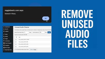 Remove Unused Audio Files in WordPress Beat Stores Sonaar + WooCommerce Safe