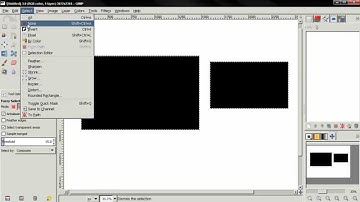 Selection Tools Overview  - GIMP 2.8 Beginners