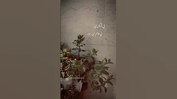 ای که به شب نا صبح سپیدی مرجان Music اهنگ Shorts 