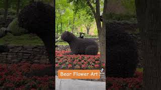 Bear Flower Art At Dollywood!!! #foryou #gatlinburg #art#dollywood