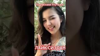 7 октября 2025 г.#той #хари #свадьба #тикток #rek  #aktivler #azeaktive #хиты #танцы #travel #usa