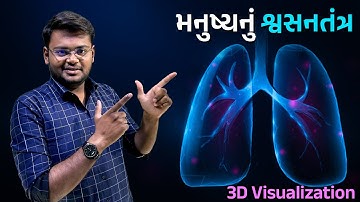 Human Respiratory System in 3D | મનુષ્યનું શ્વસનતંત્ર 3Dમાં નિહાળો | Hiren Nasit